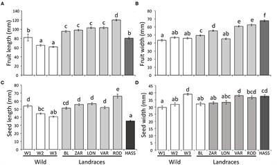 Genotypic Variation in Plant Traits, Chemical Defenses, and Resistance Against Insect Herbivores in Avocado (Persea americana) Across a Domestication Gradient